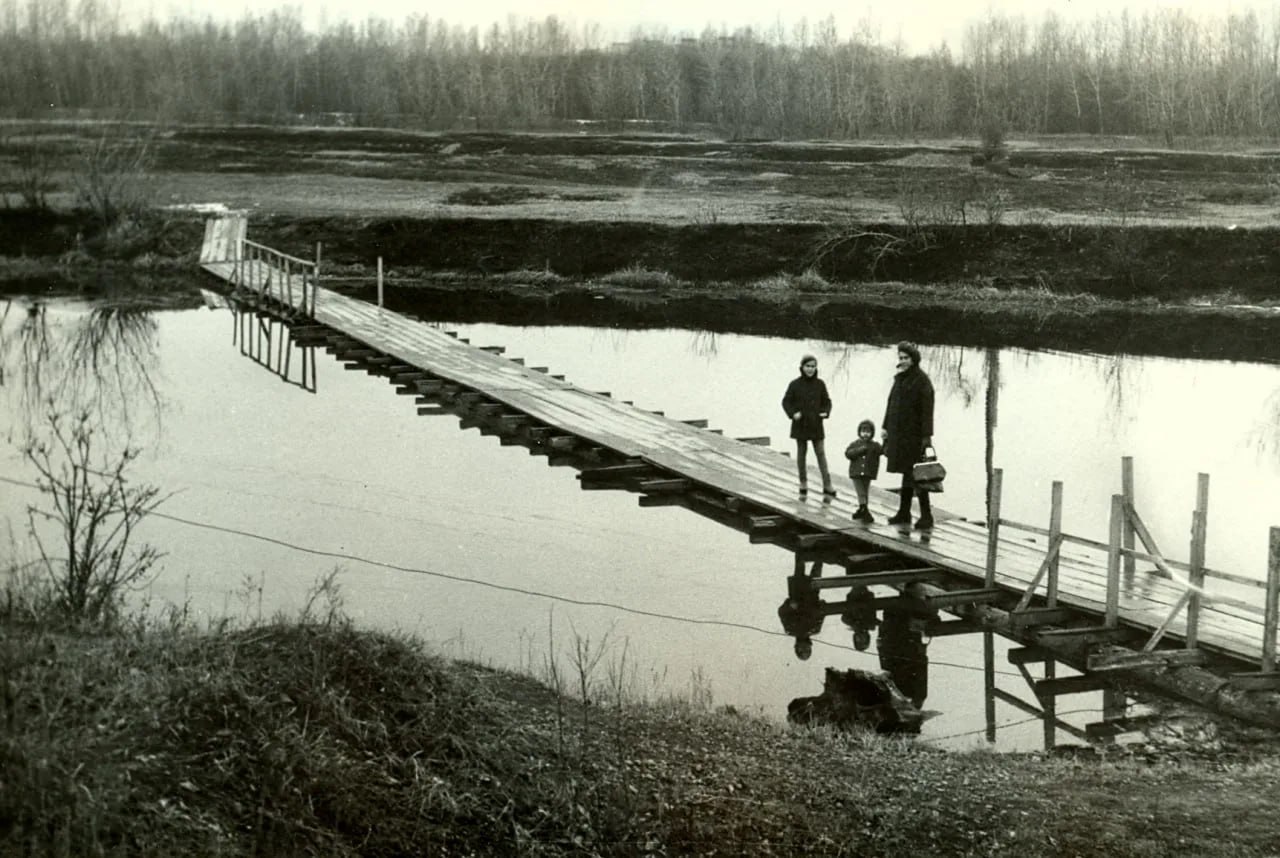 К 100-летию столицы Хакасии в Абакане возродят яблоневый сад К 100-летию столицы Хакасии в Абакане возродят яблоневый сад