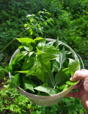 ���������� � ��� ������: ������-����� '������ ����' 25 ����