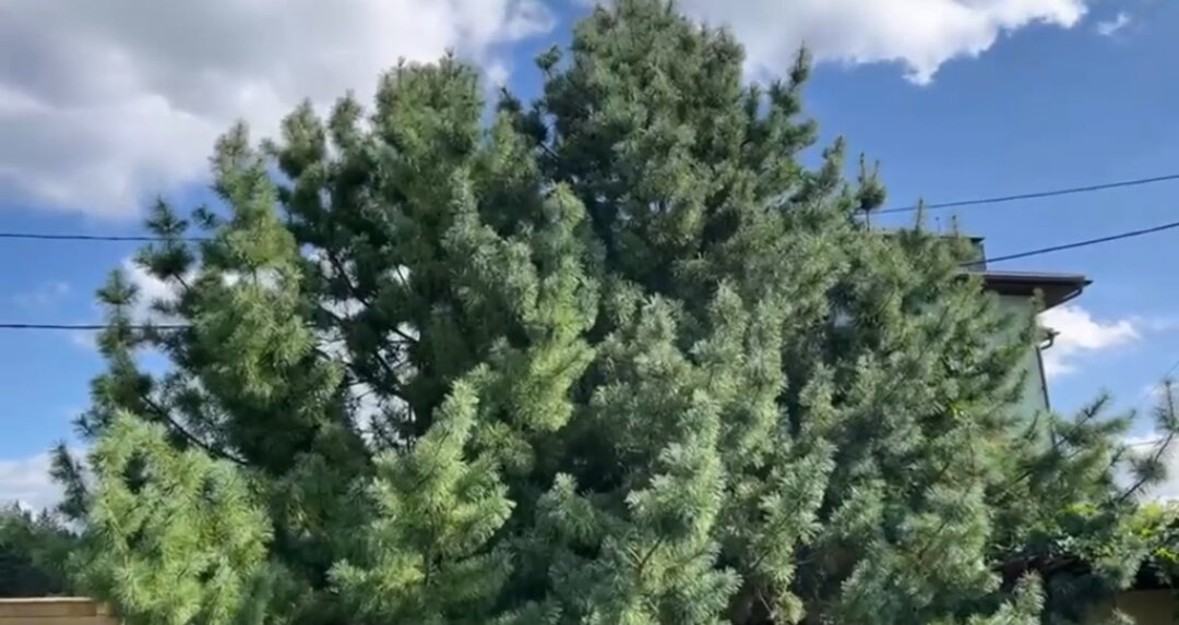 Новые идеи и смелые планы на весну: ответы на вопросы подписчиков