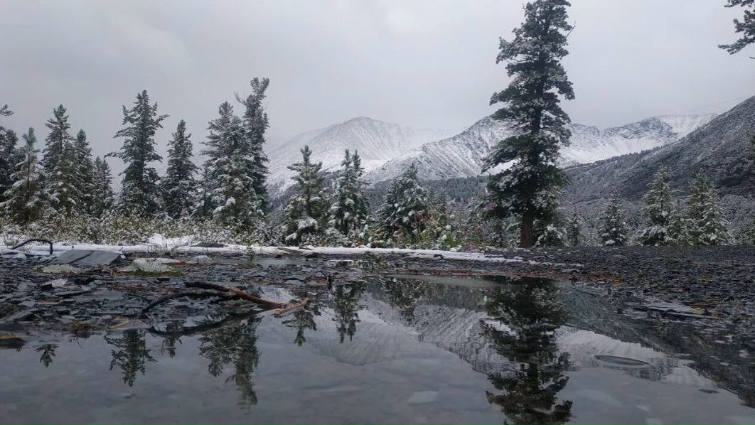 ЖИТЕЛЕЙ ХАКАСИИ ПОЗДРАВЛЯЮТ С ДНЁМ ДИКОЙ ПРИРОДЫ ЖИТЕЛЕЙ ХАКАСИИ ПОЗДРАВЛЯЮТ С ДНЁМ ДИКОЙ ПРИРОДЫ
