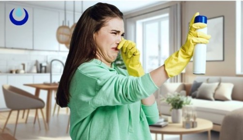 Как навсегда победить неприятные запахи в квартире