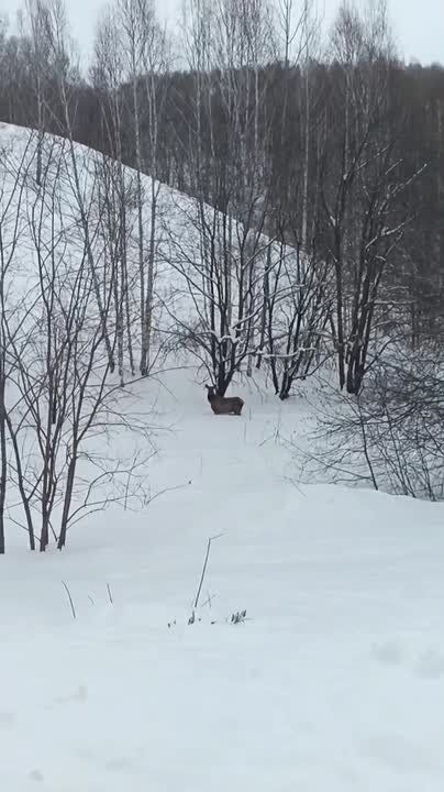 ������������ ������� � ������ �������� ����������� ������������ � ������������ ������