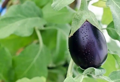 ��� ��������� ������������� ��������� � ���� ��� �������� ������