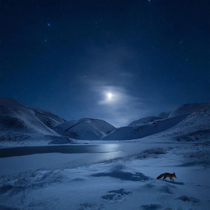 ������ ������� �� ������� ��������