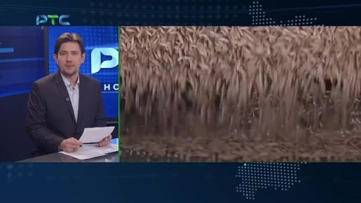 МИНСЕЛЬХОЗ ХАКАСИИ ПОДВЁЛ ИТОГИ 2025 ГОДА