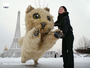 #архив_ТАСС_Сибирь. Фигура котенка в парке топиарного искусства в Абакане