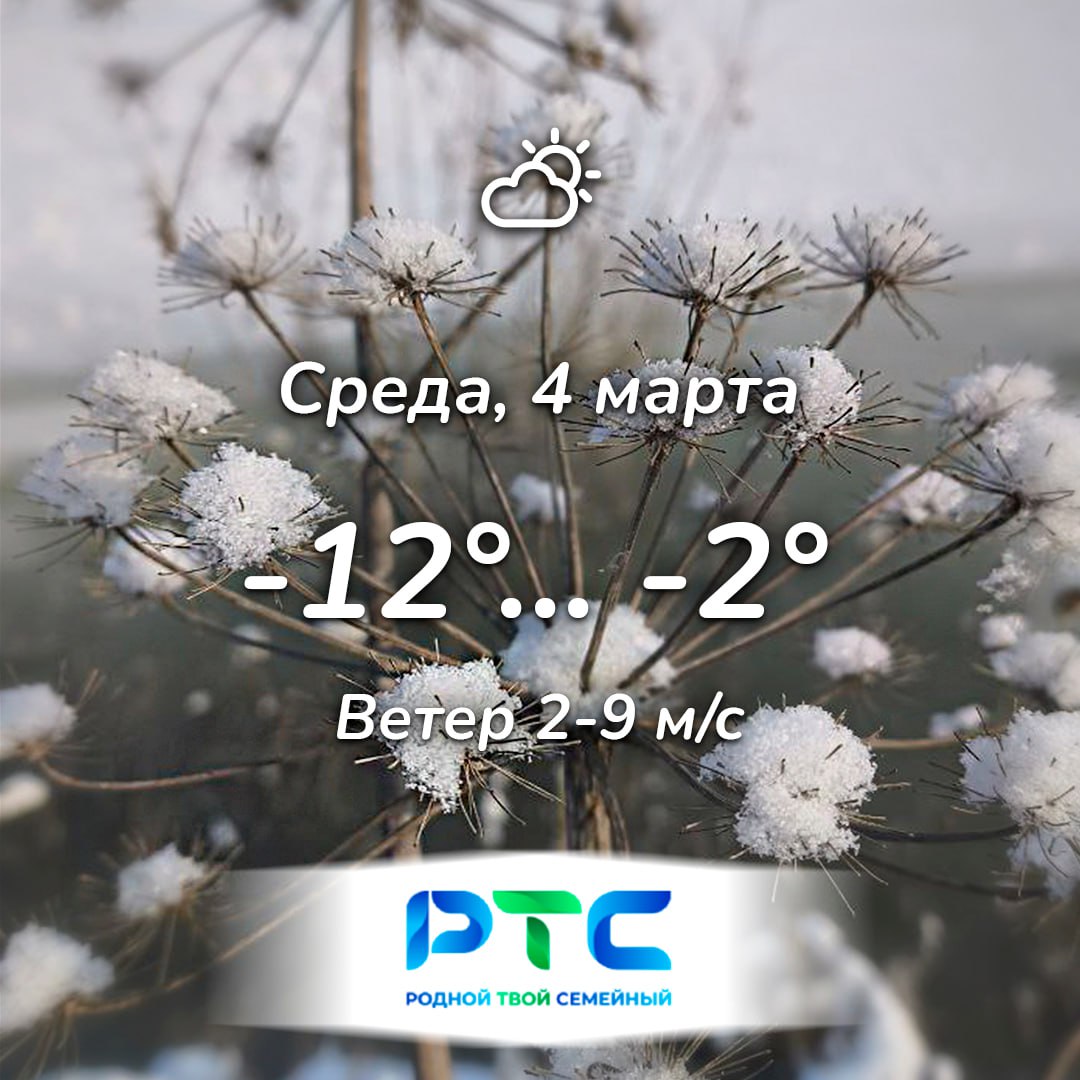 Прогноз погоды