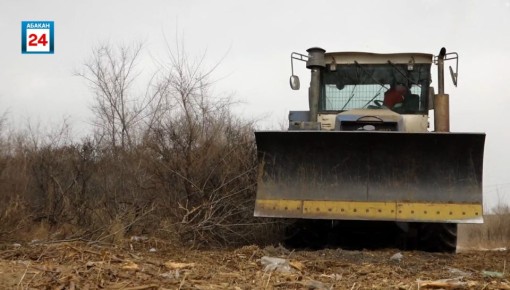 ������ ����� ������������ ������� �� ��������� �����: ���������� �������� ��������� ��������� ����� ������� � �������� � ���������� ����������