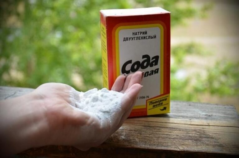 Необычные применения соды на даче, о которых вы не догадывались