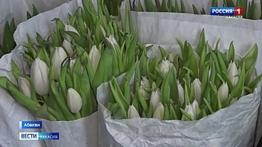 ����������� ����������������� ����������� � ���� �� ���������