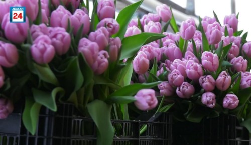 �������� ��� ����������, �������� �