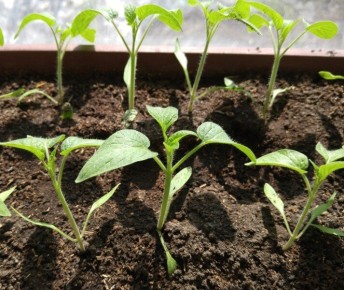 ��� ��������� ����� ����� � ����� ��� ������� ������