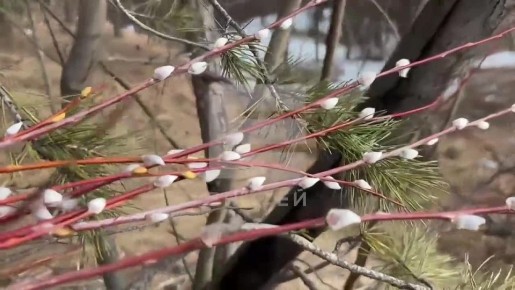 ����� ������������ � ����� ������� - � ����������