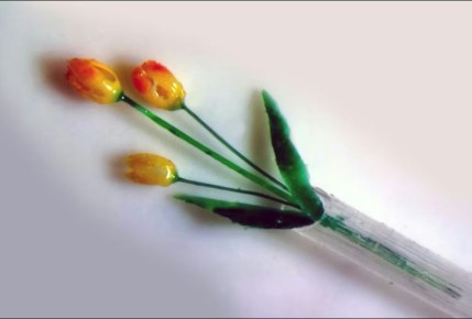 ����� �� ����� � ������ �� ������� ������������� ������ ������