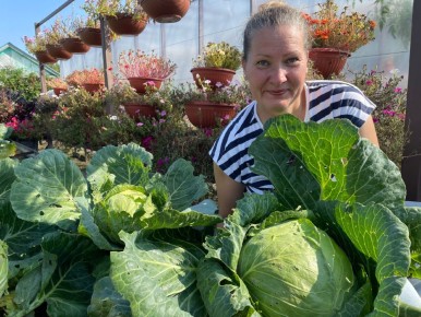 ������� ������� � �������: ��������� ������ ������� ��������