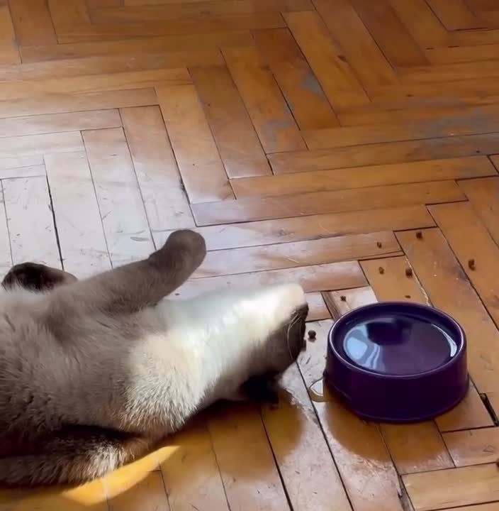 Доброе утро, Хакасия! Всех с началом короткой рабочей недели!