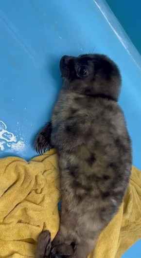 ��� ���� ������������� ����� ������� � ����������