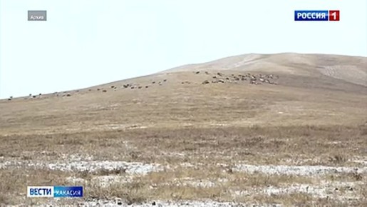 � ���������� ������ ����� ���������� ���������� ������������