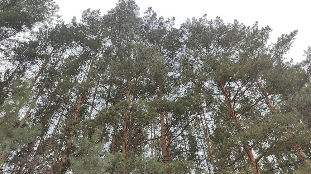 ПРИРОДА ХАКАСИИ - ПОД ЗАЩИТОЙ ВЕТЕРАНОВ СВО