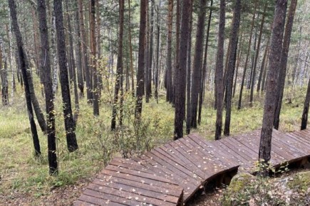 ����� ���������� ��������� ���������� ������� ��������� � ��������