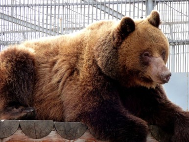 ����� ���������� �� �������!