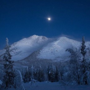 ������ ������� �� ������� ��������