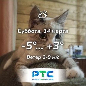 Прогноз погоды