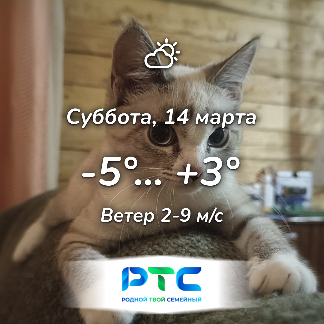 Прогноз погоды