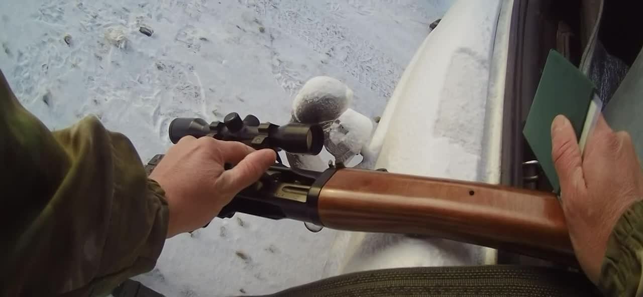 Троих браконьеров из Красноярского края, убивших косулю в Ширинском районе, поймали охотинспекторы Хакасии