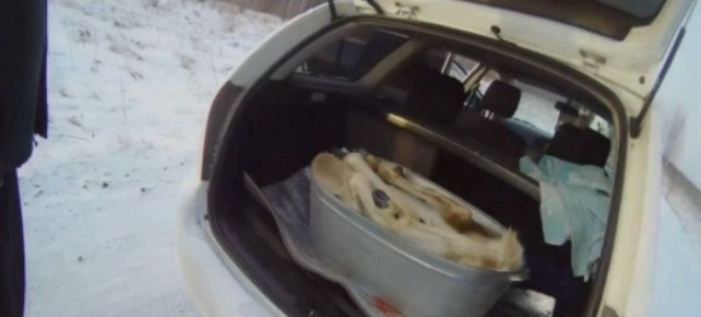 � ������� ������� ����������� �� ������������� ����