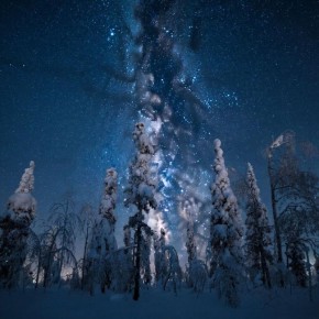 ������ ������� �� ������� ��������