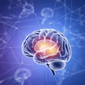 Мозг может предсказать решение до того, как вы его осознаете