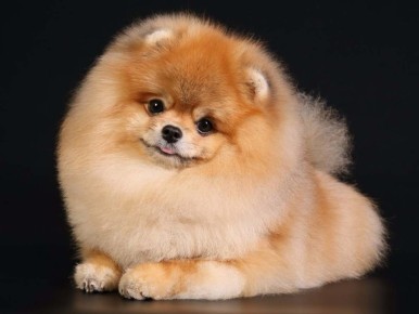 ����������� ���������� ������ ���������� ��������� ���� �� ����� ������������� ��� ��������� ������� ����� �����