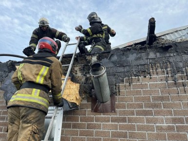 ����� ���� ������� � �������� �������� � ������ � ��������