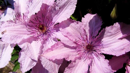 ��������: ������� ����� �� ������ ������� ����� ������