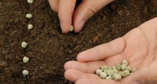 ��� ������ � ����: ������� ������������� �������