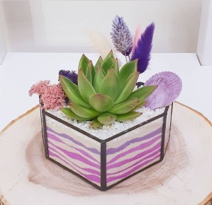 ����������: ��� ��������� ����� ��������