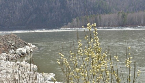 � ������� ���������� �� ������