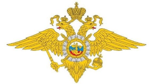 МВД России предупреждает о рисках посещения несогласованных акций в выходные