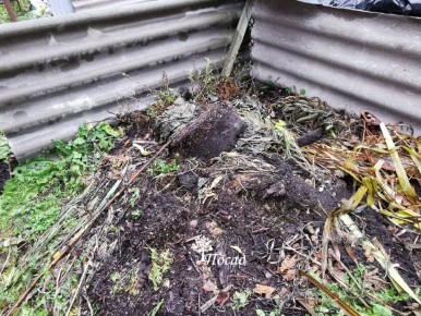 ��� ������������ ���������� �����: ����������� ������