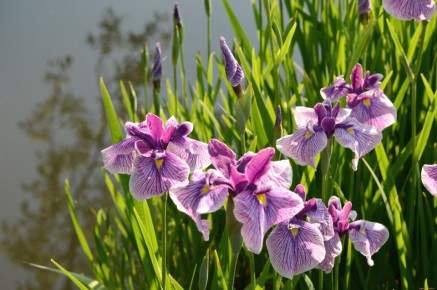 ������������, ������� ������ ��� � ������ ��� ����� �������