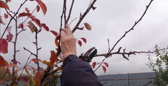 ��� ��������� �������� ����� ������ ��� �������� ������