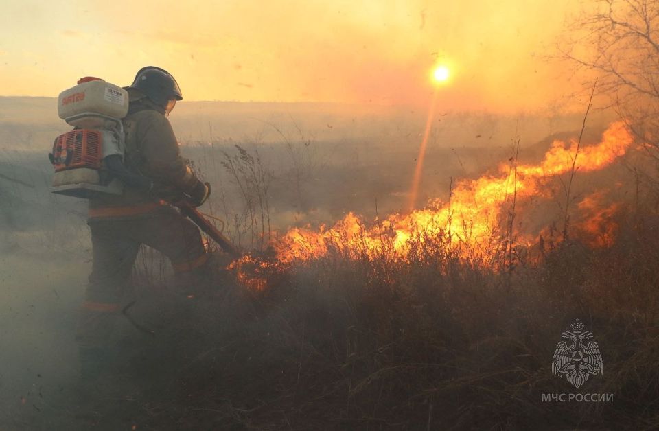 � ��������� ���� ����� � ������� ������������ ������ ������� ����������� �������