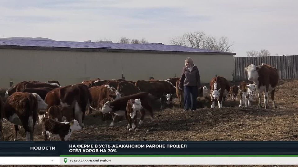 �� ������ ������� - �������� �������