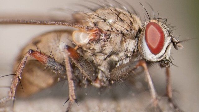 ��� �������� ������ �� ���������� ��� �����: ������� � ����������� ������