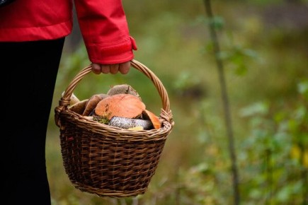 ����� � ���������� ������� �������� ������� ������� �����?