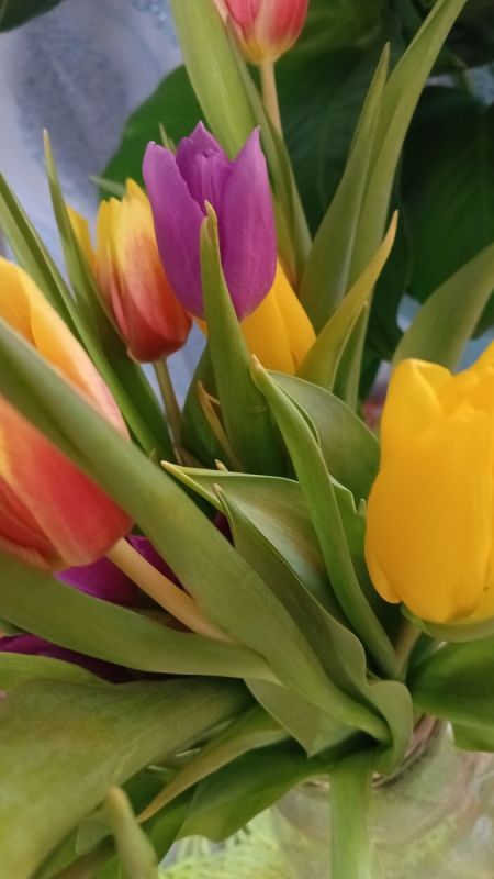 ��� ��������� ������� ����� �� ����������� ������ � ������ ���� ����� ������