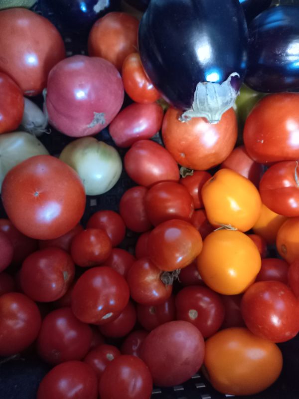 ��� ��������� ��������� �� �������� � �������: ������� ��������� ������