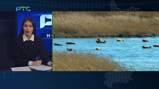 � ������� ������� ����� �������� �����