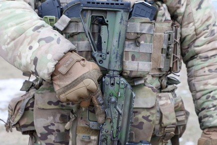 ������ ������������ ��������: ������������ � ������ ������� �� �� ��������